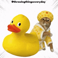 Cat Throwing GIF