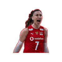 Hande Baladin Sticker