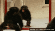 monkey jumping GIF