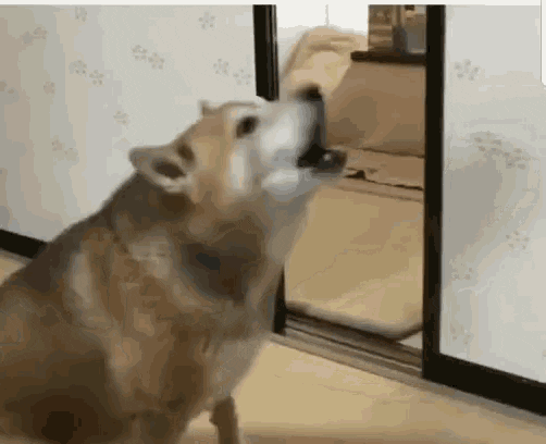 annaanna8982 giphyupload GIF