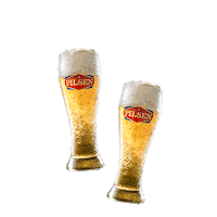 beer cerveza Sticker by PilsenPy