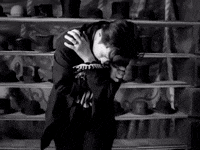 GIF by k.d. lang