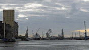 traffic cinematography GIF by Kitsune Kowai