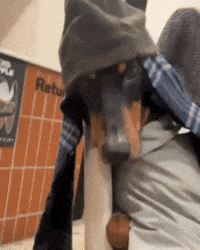Dog Hiphop GIF