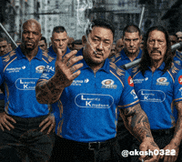 Mumbaiindians GIF