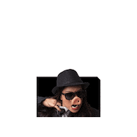 ANWedu theatre theater anw animal farm Sticker