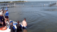 Dolphins Provide Therapy for Wounded Veterans in Florida Keys