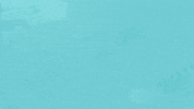 illustration bird GIF by pedroallevato