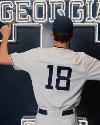 Georgia Tech Baseball GIF by Georgia Tech Yellow Jackets