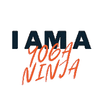 Yfs Sticker by Yogi Flight School