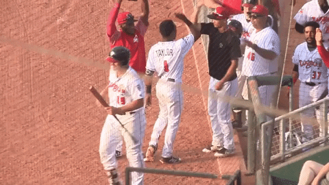 lansing lugnuts dance GIF