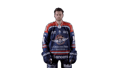 Ducs Dangers Hockey Sticker by Les Ducs d'Angers