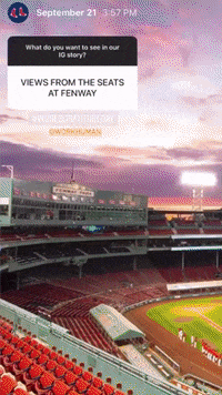 GIF by Boston Red Sox