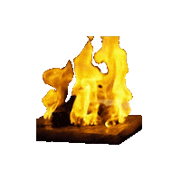 Fire Sticker by Parrillada Familiar da Silva