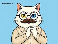 Happy Cat GIF by vankedisi