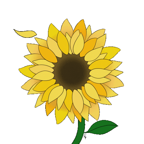 Flower Sun Sticker