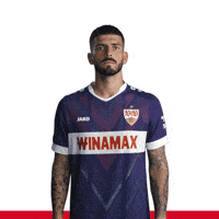 Come On Auf Gehts GIF by VfB Stuttgart