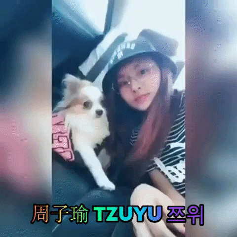 asian taiwanese GIF