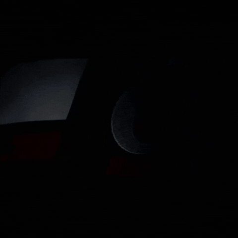 Cincinnati Football GIF by Cincinnati Bearcats