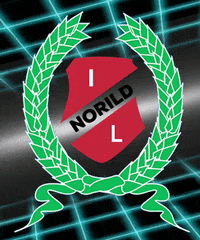 norild_official norild GIF