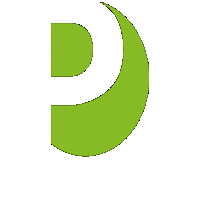 P Logo Sticker by Pinstone