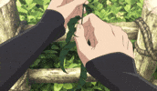 Weed Plant GIF