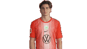 Football Applause Sticker by VfL Wolfsburg