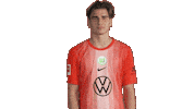 Three Points Win Sticker by VfL Wolfsburg