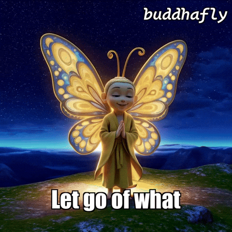 Stars Night GIF by BuddhaFlyJourney