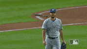Major League Baseball Sport GIF by MLB