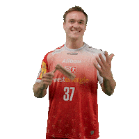 Handball Essen Sticker by DAIKIN HBL