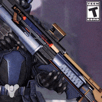 Destiny 2 Invisibility GIF by DestinyTheGame