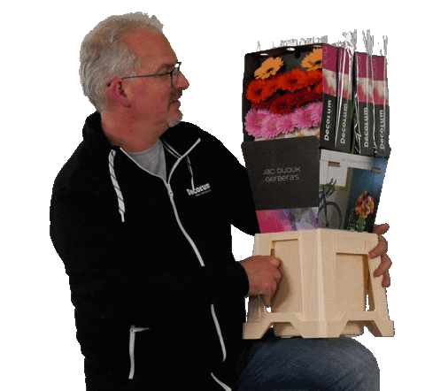 JacOudijk giphyupload flowers colorful colourfull Sticker