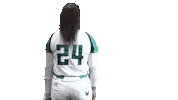 Collegesoftball Sticker by UNCW Softball