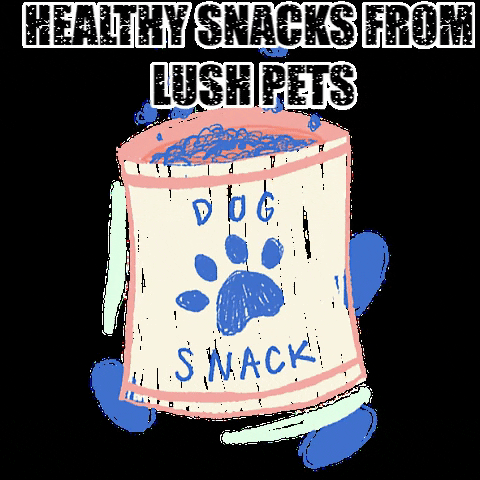 lushpetsco giphygifmaker healthy snacks dog snacks dog snack GIF