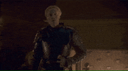 vulture game of thrones brienne game of thrones 802 brienne becomes a knight GIF