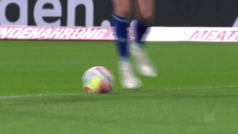 Football Soccer GIF by FC Schalke 04