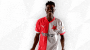Happy Football GIF by SK Slavia Praha