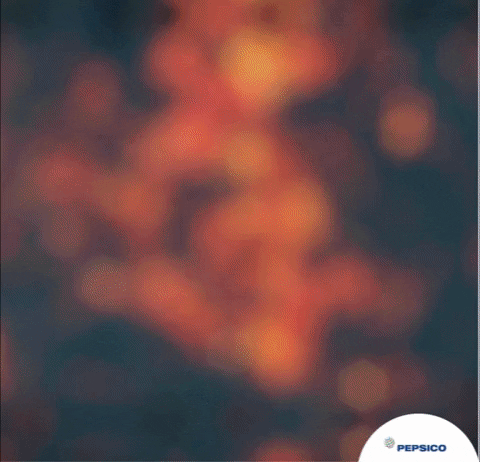 Bloom4All giphyupload GIF
