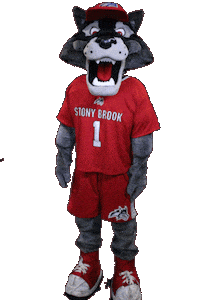 Stony Brook Sticker by Stony Brook University