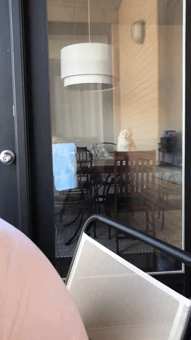 madmoizelledotcom giphyupload GIF