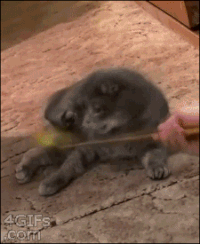 GIF by Demic