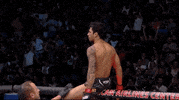 Mixed Martial Arts Sport GIF by UFC