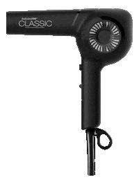 Blowdryer Sticker by BaByliss Pro