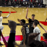 Basketball Celebration GIF by Cincinnati Bearcats
