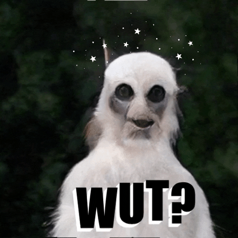 Meme What GIF by jorgemariozuleta