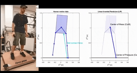 tulsimo giphygifmaker GIF