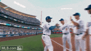 game 1 coach GIF by MLB