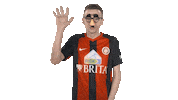 Wehen Wiesbaden Fifa Sticker by Bundesliga