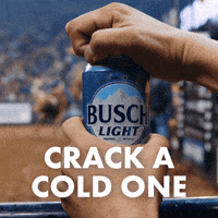 Sponsored gif. Hand opens a can of Busch Light and it foams from the top. In the background, a cowboys rides a bucking bull at a rodeo. Text reads, “Crack a cold one.”